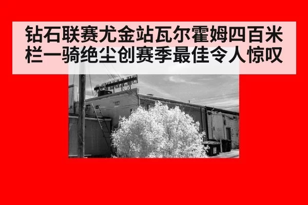钻石联赛尤金站瓦尔霍姆四百米栏一骑绝尘创赛季最佳令人惊叹