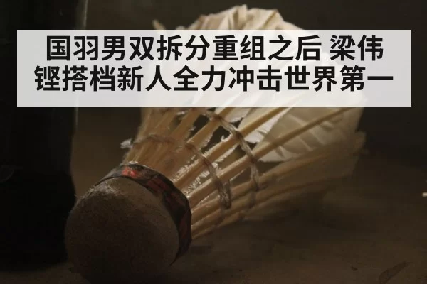 国羽男双拆分重组之后 梁伟铿搭档新人全力冲击世界第一